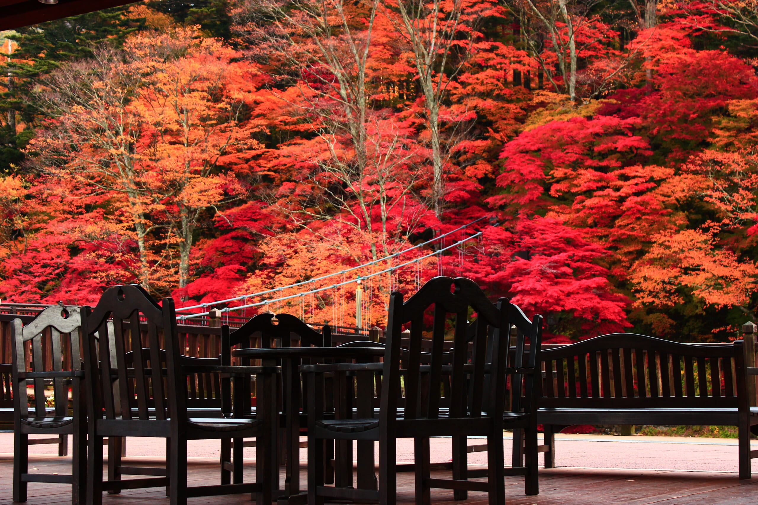 紅の吊橋 栃木県那須エリアの温泉グランピング グランパーク赤沢温泉 リゾグラ リゾートグランピングドットコム