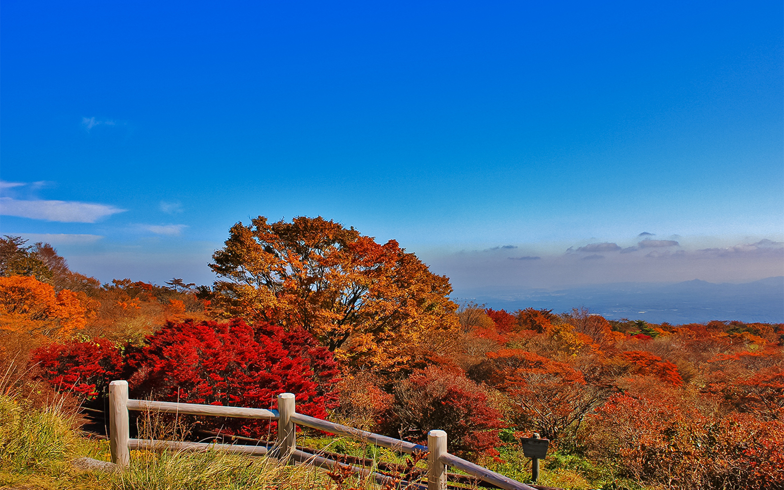 八幡ツツジ群落 栃木県那須エリアの温泉グランピング グランパーク赤沢温泉 リゾグラ リゾートグランピングドットコム